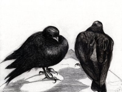 Serious Pigeon Situation, 2012 by Nancy Moniz Charalambous